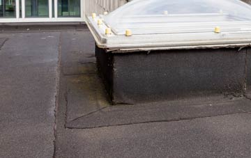 disadvantages of Y Gors flat roofs
